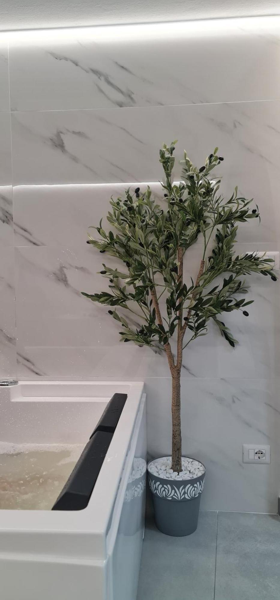 Central Rooms 산타테레사의갈루라 객실 사진